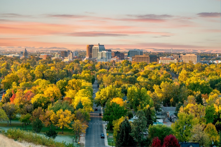 city-of-trees
